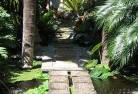 Mount Coolontropical-landscaping-10.jpg; ?>