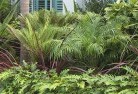 Mount Coolontropical-landscaping-2.jpg; ?>